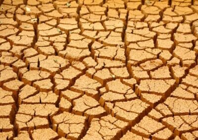 Sludge Management: We are keeping sludge in a certain place for the removal of harmfulness for at least six months and then it is transferred to the brickfields.